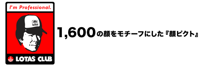 ピクトとプロフェッショナルについて