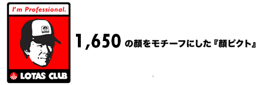 ピクトとプロフェッショナルについて