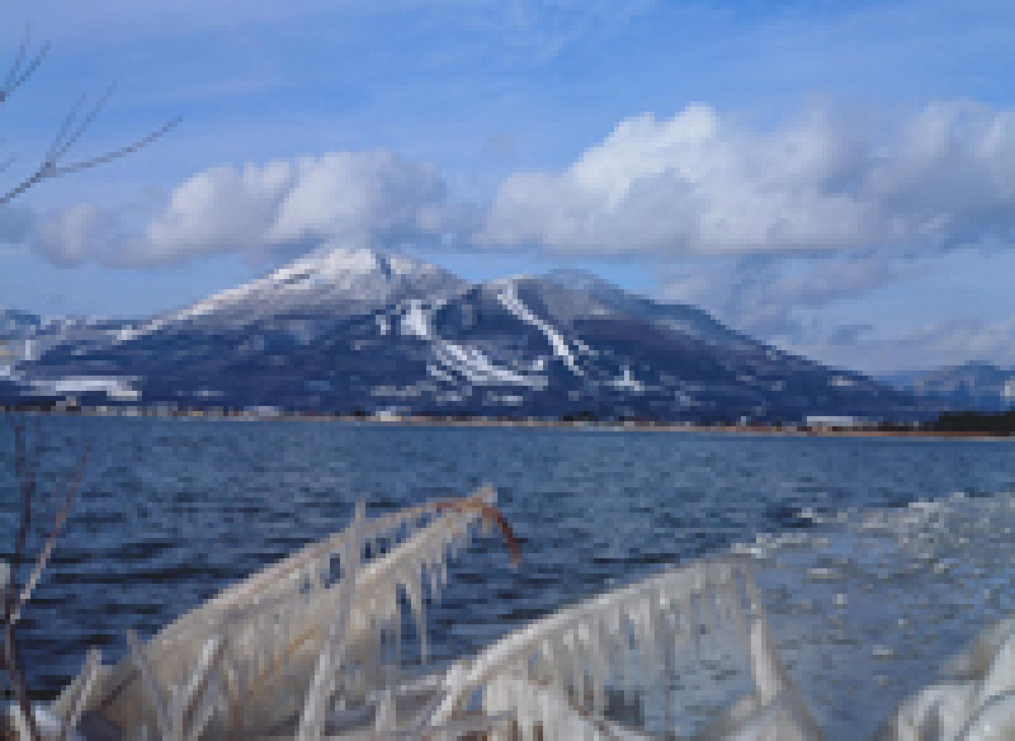 福島 支部トップ